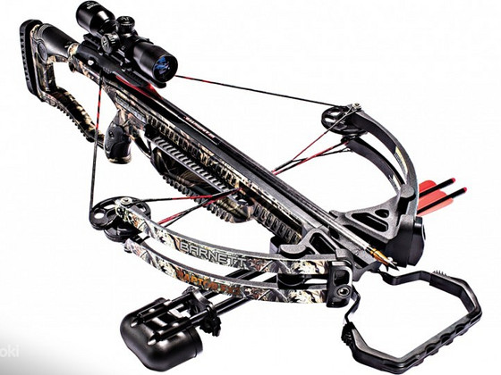 BARNETT RAPTOR FX 2 ammukomplekt
