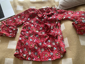 Длинный рукав блузка для девочки 5-6 лет H&M (1 фото из 4)