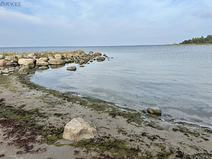 Oru-Mihkli, Pärispea, Kuusalu vald, Harjumaa (24 фото из 35)
