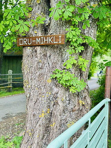 Oru-Mihkli, Pärispea, Kuusalu vald, Harjumaa (6 фото из 35)