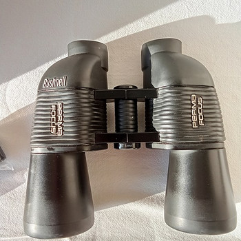 Binokkel