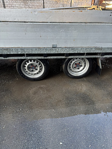 Haagis (7 foto / 10)