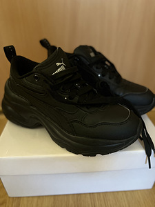Puma tossud (1 foto / 3)