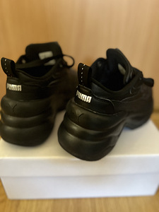 Puma tossud (3 foto / 3)