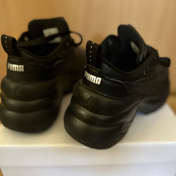 Puma tossud