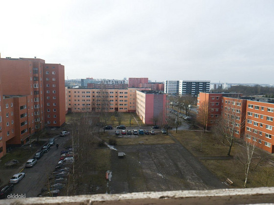 Liikuri tn 50, Lasnamäe, Tallinn, Harjumaa