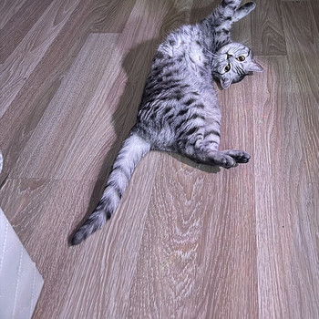 Вязка