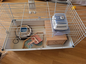 Näriliste puur (1 foto / 5)