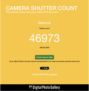 Nikon D600 + 50/1.8D + 85/1.8 (10 фото из 10)