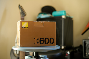 Nikon D600 + 50/1.8D + 85/1.8 (9 фото из 10)