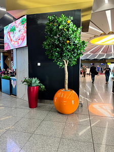 Klaasplastist istutuskastid – eritellimus ja standardlahendu (4 foto / 4)