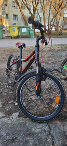 Jalgratas Kross 20 (7 foto / 7)