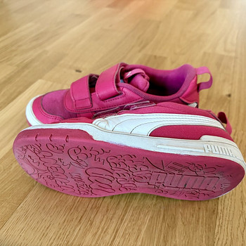 Puma tossud