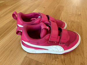 Puma tossud (3 foto / 5)