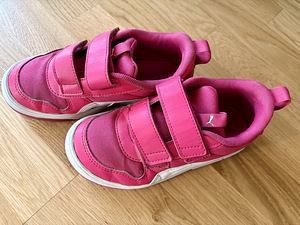 Puma tossud (4 foto / 5)