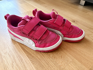 Puma tossud (5 foto / 5)