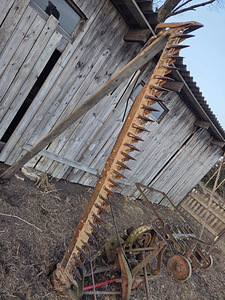 Lattniiduk (8 foto / 10)