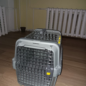Lemmikloomade transpordipuur rentimiseks