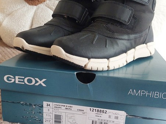 Зимние сапоги Geox размер 34
