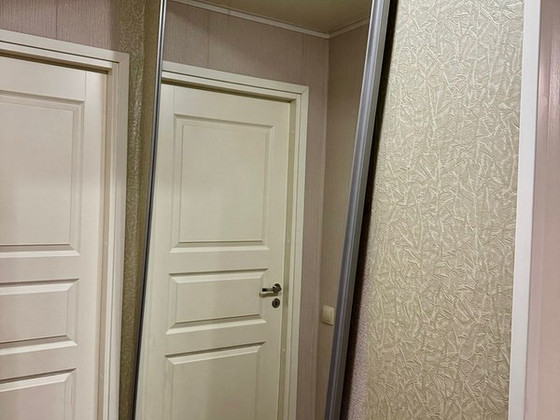 Дверь с зеркалом или зеркало в раме 220 x 115 см