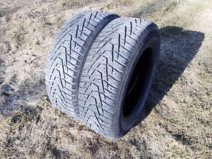 Lamellid 185/65 R15 2tk (1 foto / 1)