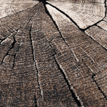 Uus vaip Timber