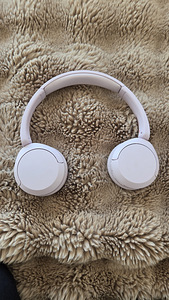 Sony WH-CH520 (розовые, roosa) (1 фото из 1)