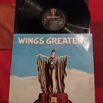 Винил Wings