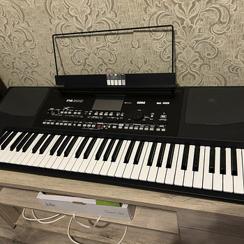 Korg Pa 300