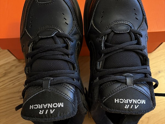 Кроссовки Nike air monarch