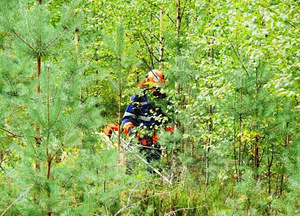 Töö Rootsis võsamehele (1 foto / 1)