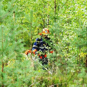 Töö Rootsis võsamehele