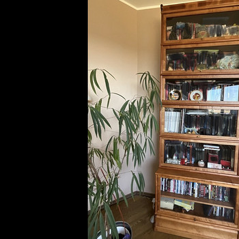 Книжная полка SKANO