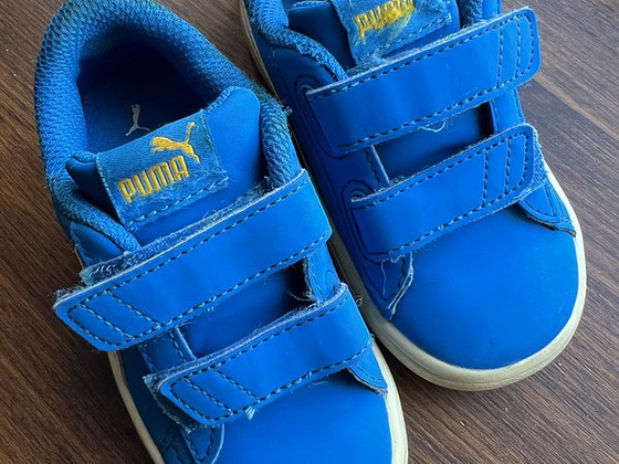 Puma tossud 22
