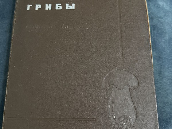 Энциклопедия про грибы 1937 года