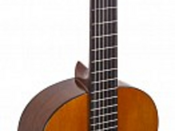 Yamaxa c40