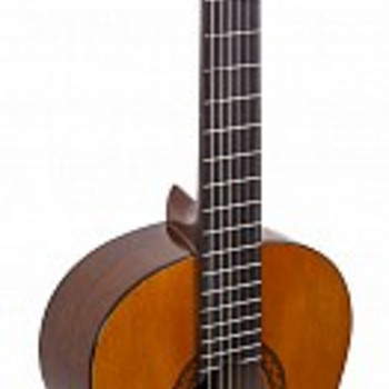 Yamaxa c40
