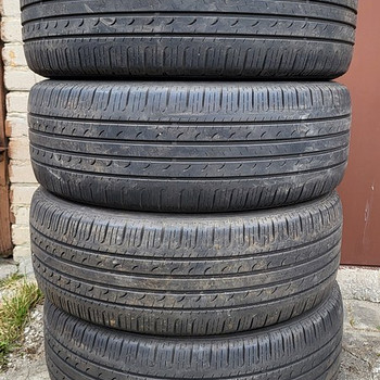 Rehvid 225/55/R19 Goodyear