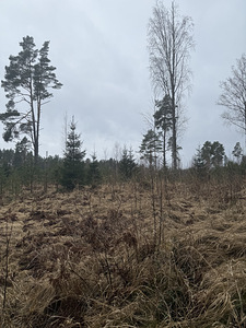 R. W. Gendti tee 18, Narva-Jõesuu, Narva-Jõesuu linn, Ida-Virumaa (2 foto / 2)