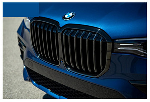 BMW X7 G07 mustad neerud (2019-2022) (1 foto / 1)