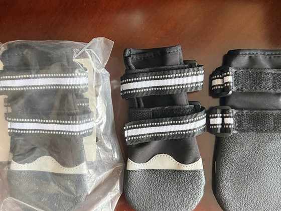 Koertele mõeldud kaitsejalatsid