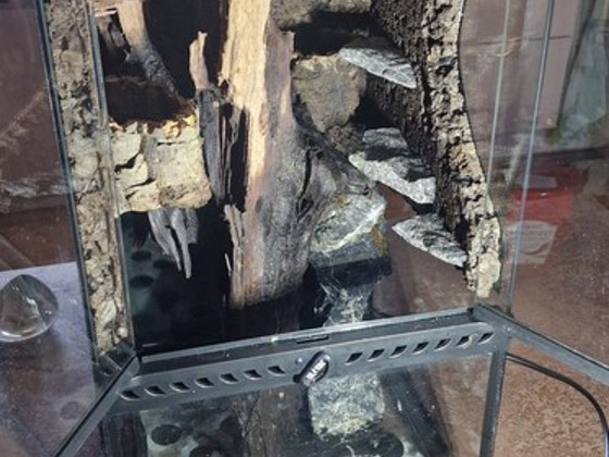Terraarium paludarium