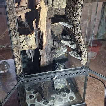 Terraarium paludarium