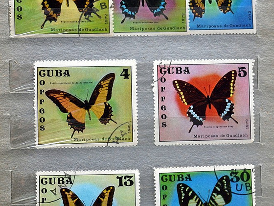 Kuuba margid 1970ndad