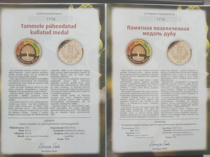 Tammele pühendatud kullatud medal (4 foto / 4)