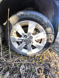 205/55R16 (3 фото из 4)