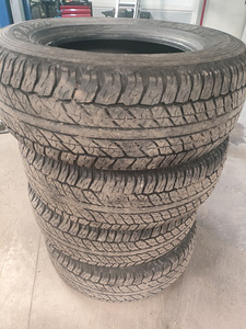 Шины Dunlop AT20 265/65 R17 (lc120) (1 фото из 3)