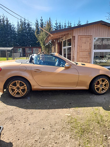 MB SLK 200 (7 фото из 7)
