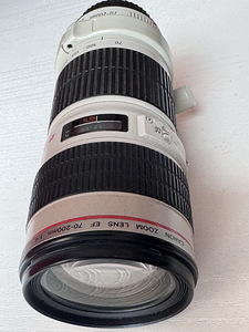 Canon EF 70-200mm f/4 L USM – легкий и резкий телеобъектив (1 фото из 4)