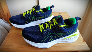 Р.43-43.5 ( 27.5 см) - ASICS Gel CUMULUS* 25 active run (3 фото из 9)